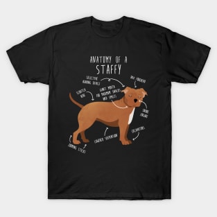 Staffordshire Terrier Staffy Anatomy T-Shirt